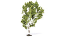 Hornby R7215 Birch Tree (7650707079405)
