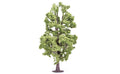 Hornby R7223 Lime Tree (7650707407085)