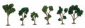 JTT Scenery 92128 Green Deciduous 1.5- 2" (10) (8346420773101)
