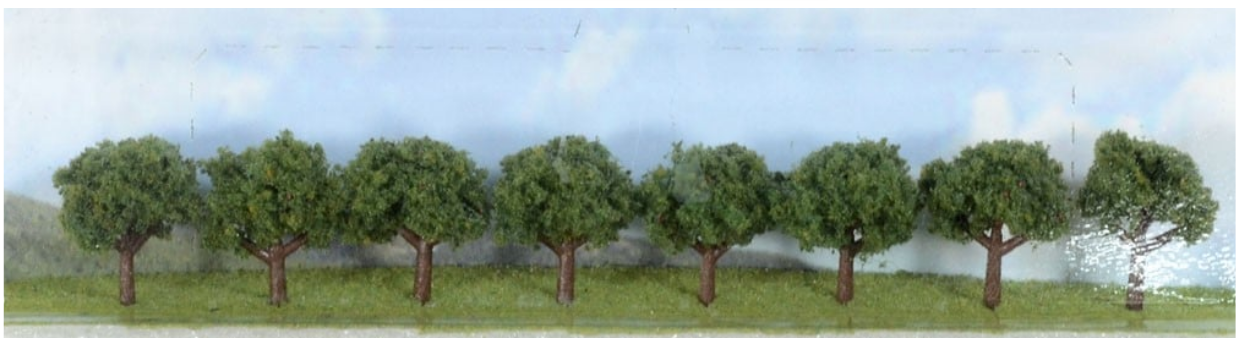 JTT Scenery SunKissed Decidus1.9-3.17cm(8)