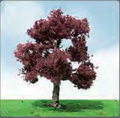 JTT Scenery 92205 Copper Beach Trees 44- 50mm(3) (8346421526765)