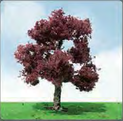 JTT Scenery 92205 Copper Beach Trees 44- 50mm(3) (8346421526765)