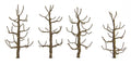 cJTT Scenery 94118 2.5 (8324629790957)
