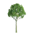JTT Scenery Round Head Trees 25.4mm (6)