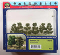 JTT Scenery 94315 Sycamore Trees 38.1mm (6) (8346423230701)