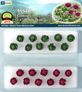 JTT Scenery 95528 Cabbage and Lettuce (O Scale) - 20pk (8531204407533)