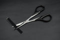 Koswork Lexan Body Straight Scissors Tool