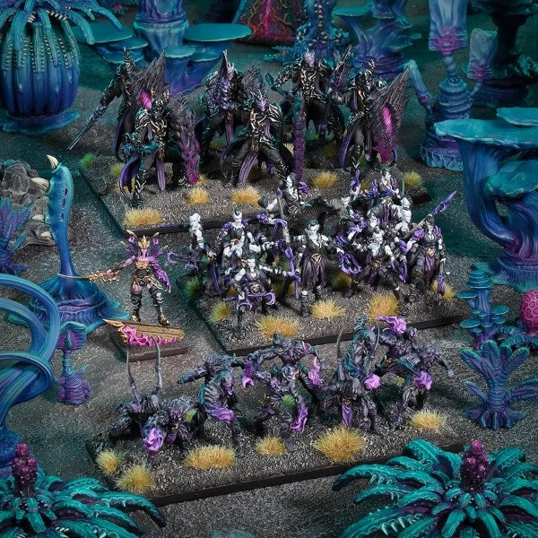 Mantic Games MGKWV102 Kings of War Twilight Kin Army (8847301607661)