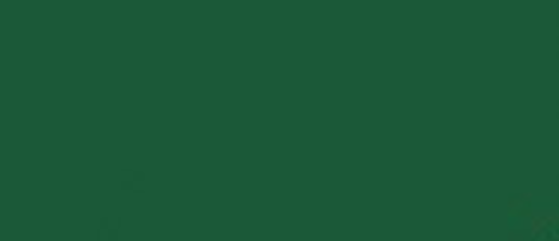 LifeColor UA506 Olive Green 22ml Acrylic Paint - Hobby City NZ (8966383960301)