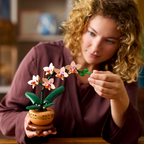LEGO Botanicals Mini Orchid 10343 (3)