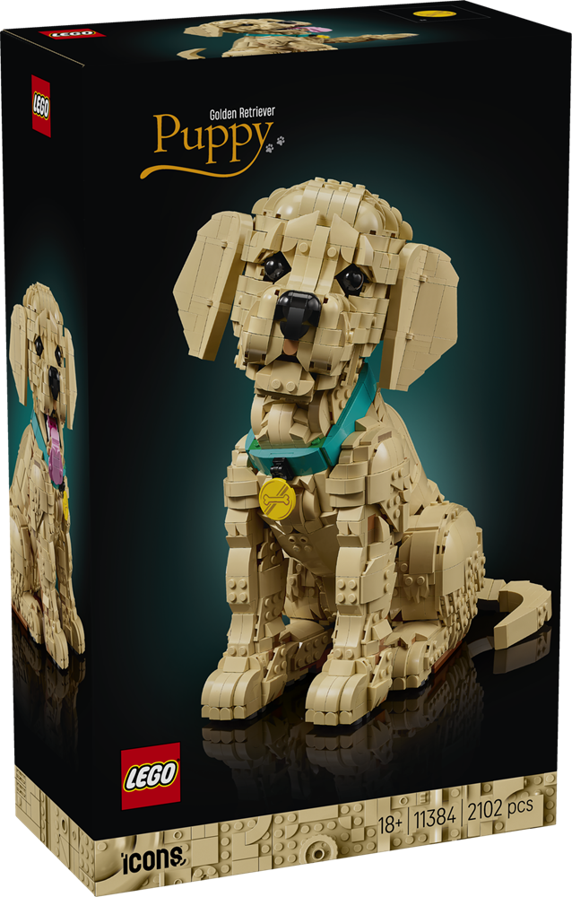 LEGO Icons Golden Retriever Puppy 11384