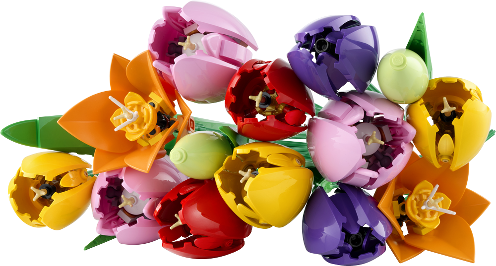 LEGO Botanicals Tulip Bouquet 11501 (2)