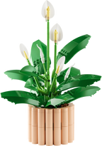 LEGO Botanicals Peace Lily 11504 (2)