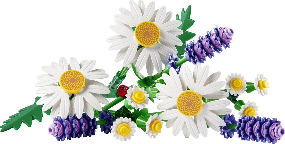 LEGO Botanicals Kids Daisies 11508 (2)