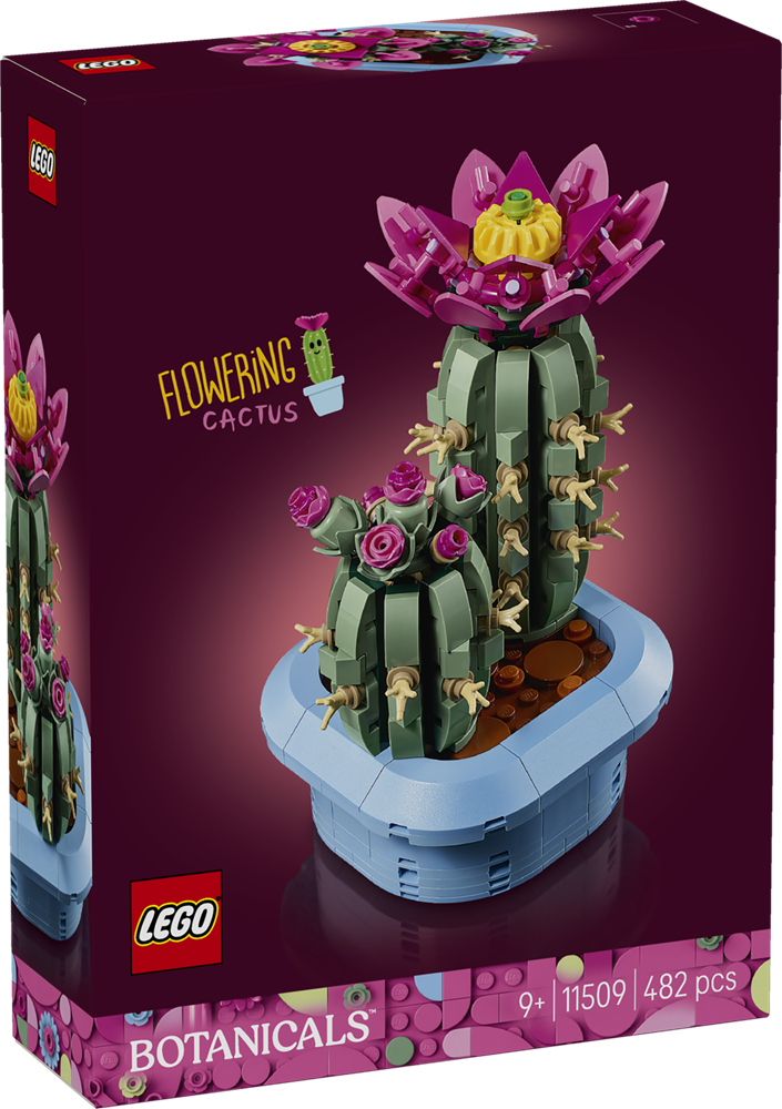 LEGO Botanicals Kids Flowering Cactus 11509