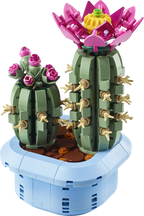 LEGO Botanicals Kids Flowering Cactus 11509 (2)