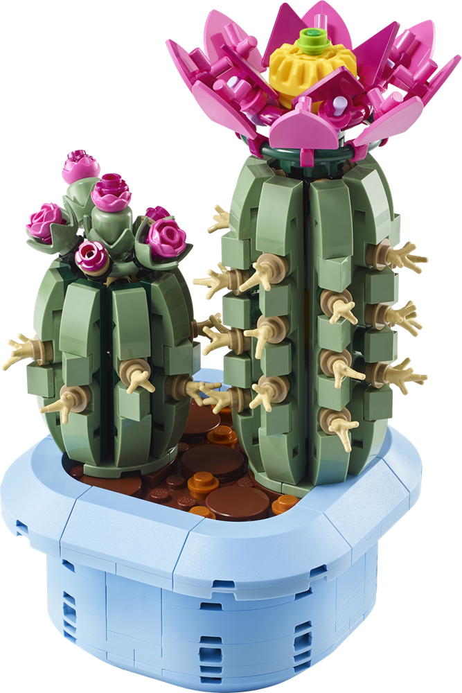 LEGO Botanicals Kids Flowering Cactus 11509 (2)