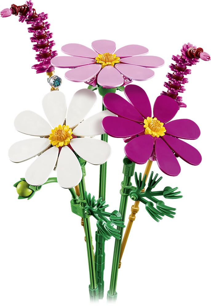 LEGO Botanicals Kids Cosmos Flowers 11514 (2)