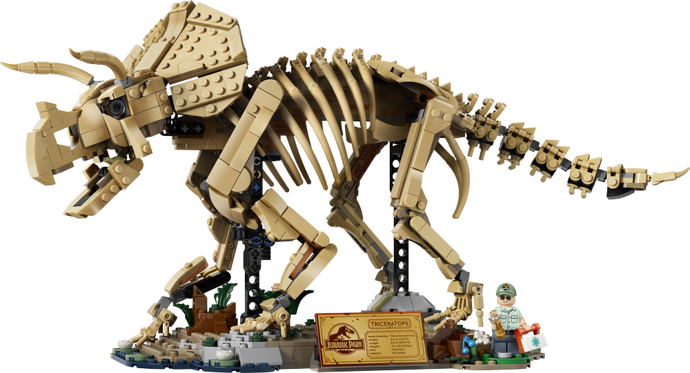 Jurassic World Dinosaur Fossils Triceratops 77985 (2)