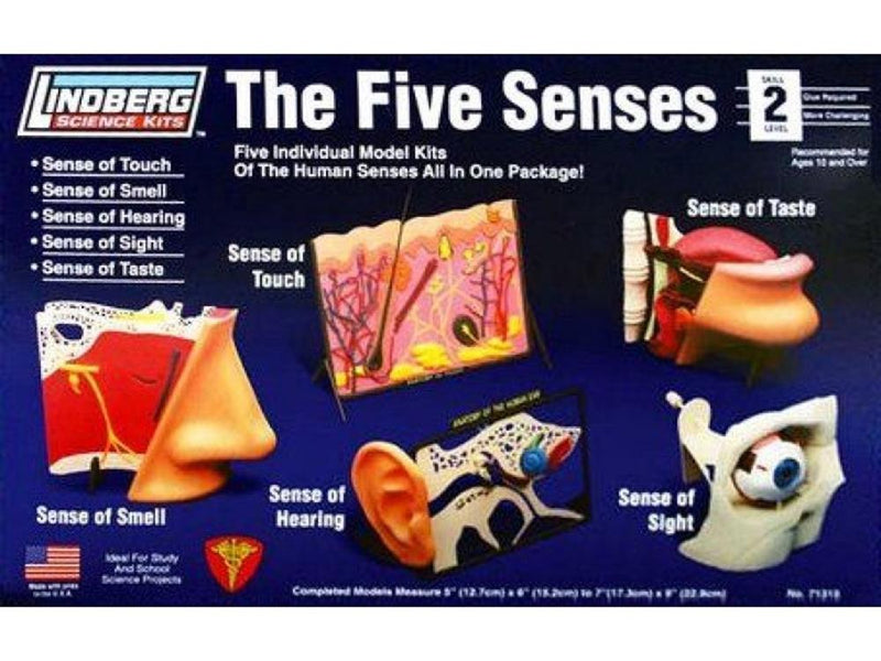 xLindberg 71315 The Five Senses Model Kits
