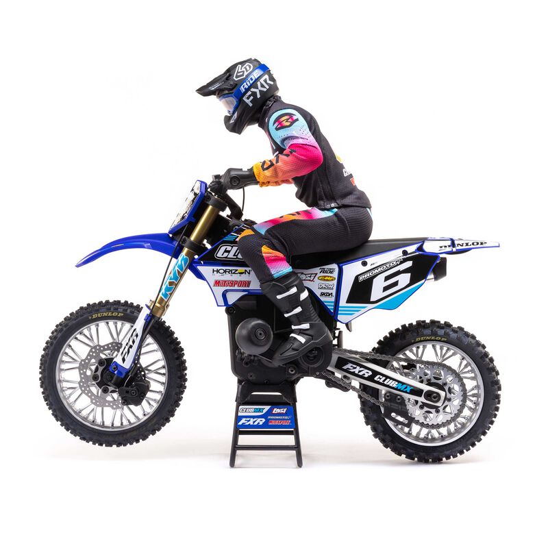 TLR LOSI LOS06000T2 1/4 Promoto-MX Motorcycle RTR Club MX Blue (8347092123885)