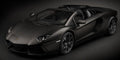 Pocher 1/8 Kit: Aventador R/ster Blk