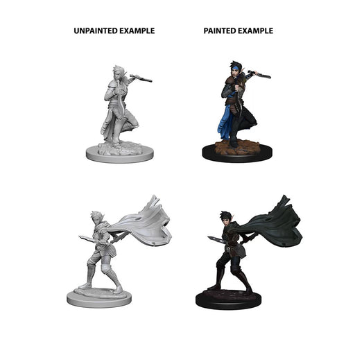 WizKids 73187 Pathfinder Deep Cuts Unpainted Minis: Elf Female R (9003785421037)