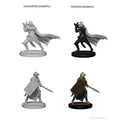 WizKids 72608 Pathfinder Elf Male Paladin (9003777917165)