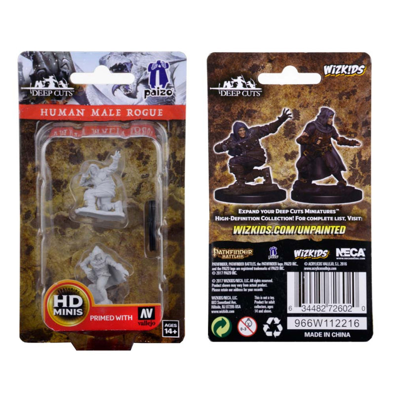WizKids 72602 Pathfinder Deep Cuts: Human Male Rogue (9003777327341)