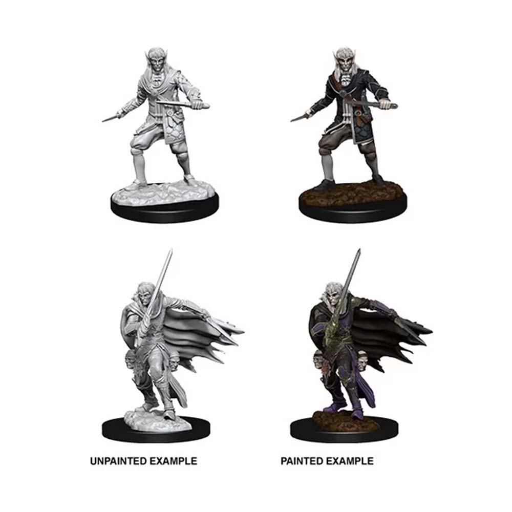 WizKids 73854 Pathfinder Deep Cuts Male Elf Rogue (9003806654701)
