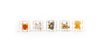 MDG Inclusion Dice Set (2)