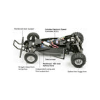 Tamiya The Hornet RC Buggy 1/10 Scale (2)