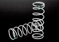 Traxxas 7443 - Spring shock white (GTR xx-long) (0.762 rate green) (1 pair) (7622651642093)