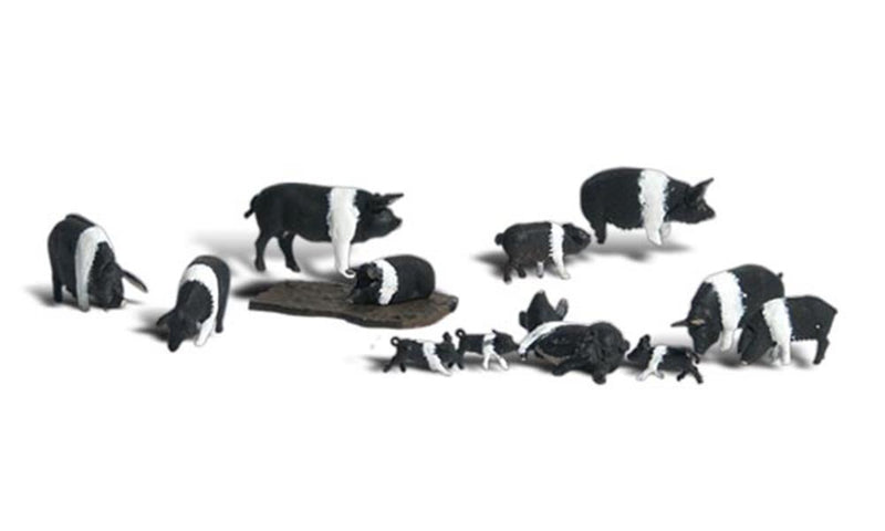 Woodland Scenics A1864 HO Scenic Accents: Hampshire Pigs - HO Scale - Hobby City NZ (7540614299885)
