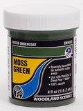 Woodland Scenics CW4533 Water Undercoat Moss Green (7650687746285)