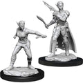 WizKids D&D Nolzurs Marvelous Unpainted Miniatures: Shifter Female Rogue - WZK90148