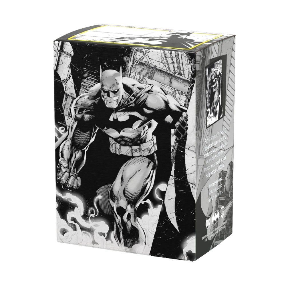 Dragon Shield Sleeves (100) Matte Dual Art Dark Knight