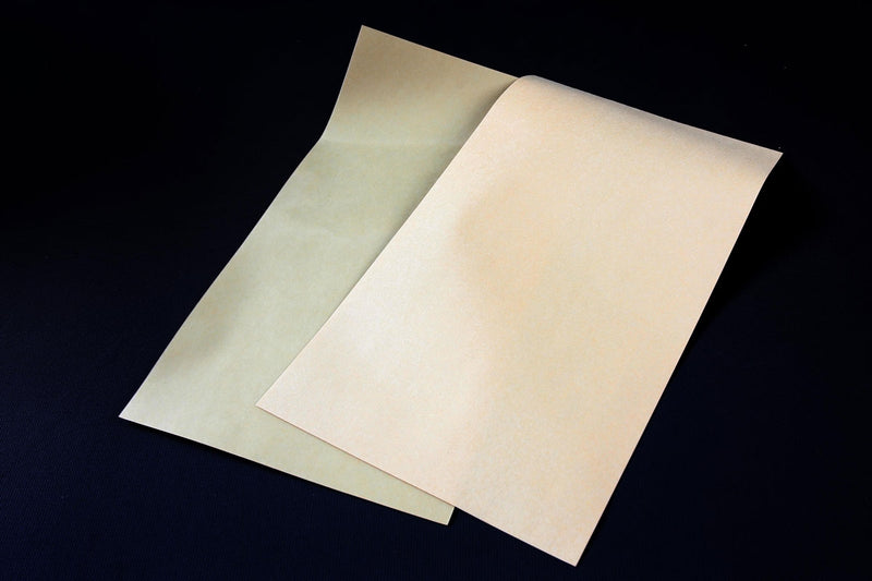 Tamiya 54499 PROTECTIVE STICKER HARD (8346775191789)