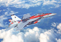 Italeri 2823 1/48 F/A-18F Hornet U.S. Navy Special Colo (8948590412013)