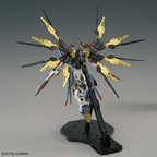 Bandai 1/100 STRIKE FREEDOM GUNDAM (5)