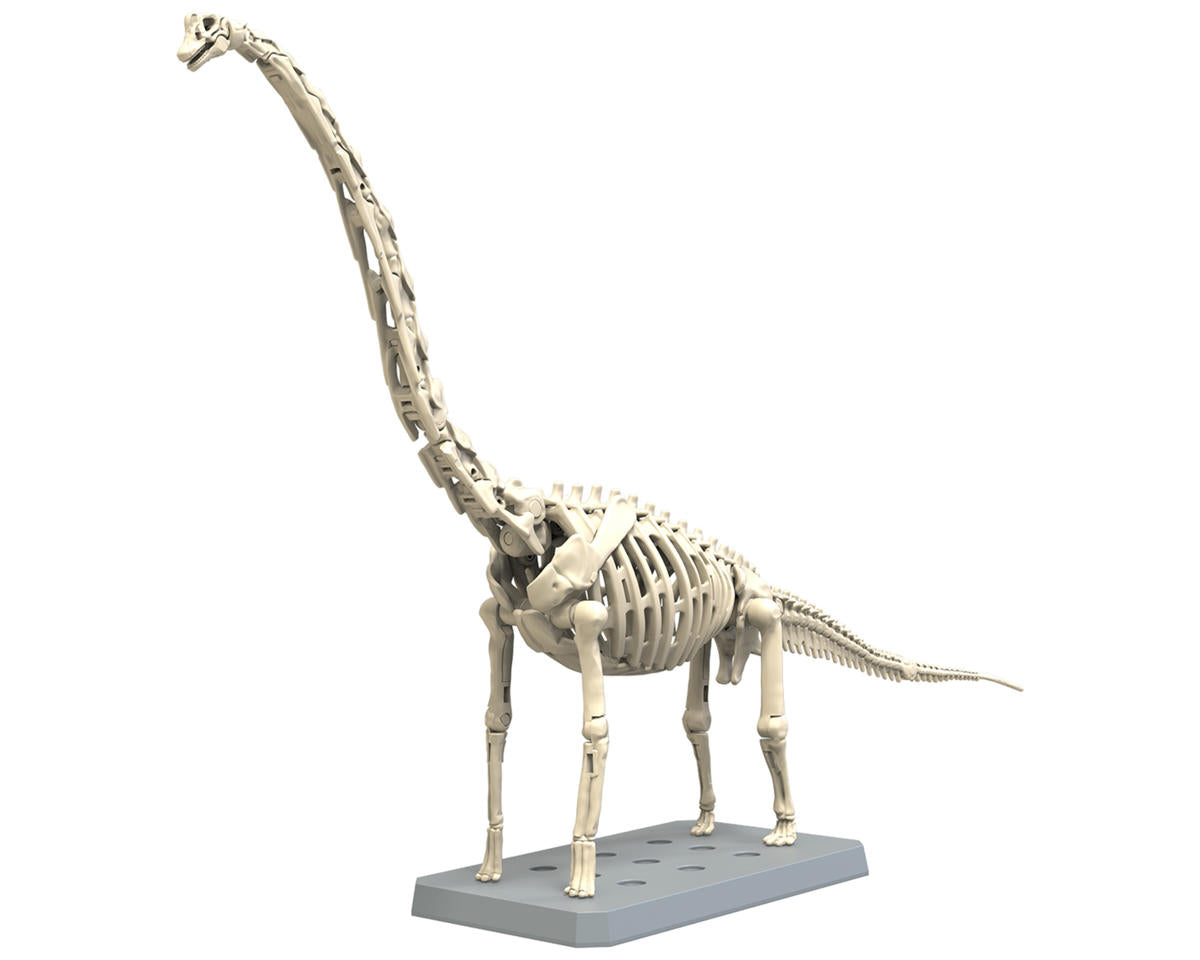 Bandai Plannosaurus Brachiosaurus Dinosaur - BAS2723576