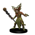 WizKids 73115 D&D Icons of the Realms: Guildmasters Guide to Ravnica Companion Starter One (9003784175853)