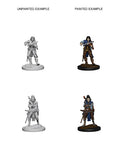 WizKids 72611 Pathfinder Battles Deep Cuts: Elf Female Bard (9003778179309)