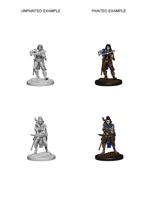 WizKids 72611 Pathfinder Battles Deep Cuts: Elf Female Bard (9003778179309)