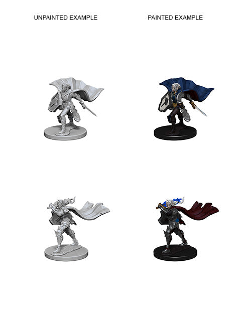 WizKids 72609 Pathfinder Battles Deep Cuts: Elf Female Paladin (9003777982701)