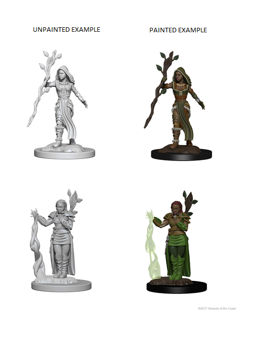 WizKids 72640 D&D Nolzurâ€™s Marvelous Miniatures: Human Female Druid (9003781554413)