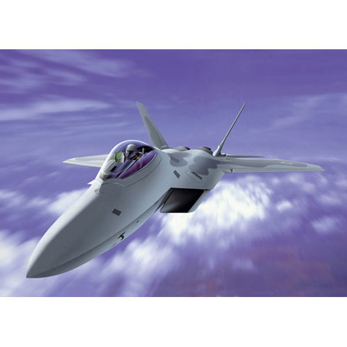 Italeri Raptor Aircraft Model Kit 1/72 - 1207