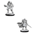 WizKids D&D Nolzur's Marvelous Miniatures: Dragonborn Fighter Female - WZK90302