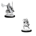 WizKids D&D Nolzur's Marvelous Miniatures: Winter Eladrin & Spring Eladrin - WZK90320