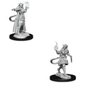 WizKids D&D Nolzur's Marvelous Miniatures: Tiefling Sorcerer Female - WZK90304